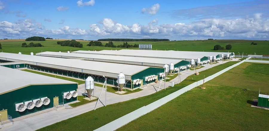 IEK GROUP поставила оборудование для крупнейшего свиноводческого комплекса в Европе