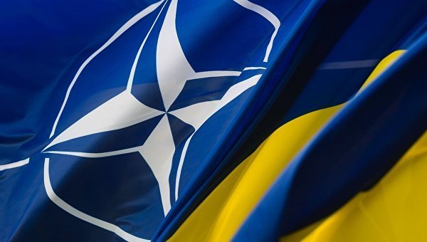 В НАТО определили основные направления для реформ сектора безопасности и обороны