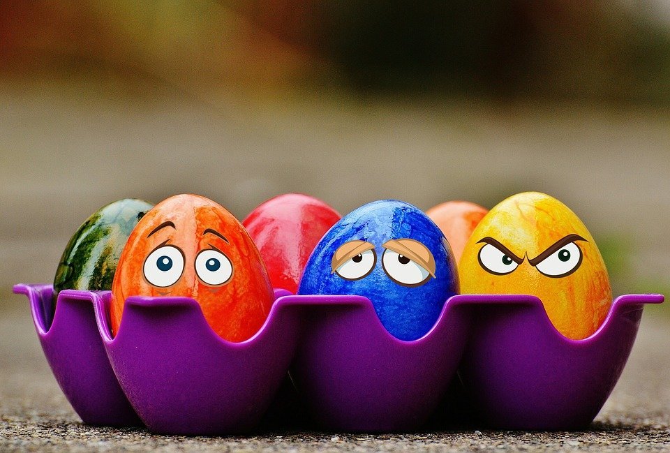 Украина существенно нарастила экспорт яиц