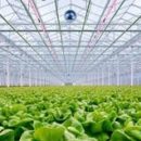 Компания Signify представила новые LED-решения Philips GreenPower на выставке в Эссене Компания Signify представила новые LED-решения Philips GreenPower на выставке в Эссене