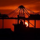 Концессия — приемлемый вариант для развития портов