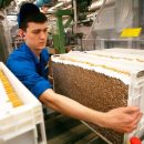 Японская компания Japan Tobacco покупает «Донской табак» за 1,6 млрд долларов