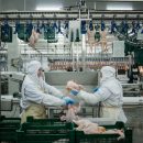 В МХП Косюка мониторят эмоции сотрудников — ищут несчастных людей