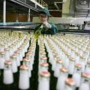 AB InBev Efes теряет в Украине 30% оборотной тары AB InBev Efes теряет в Украине 30% оборотной тары